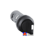 C3SS1-10B-1.png