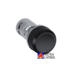 CP1-10B-1.png