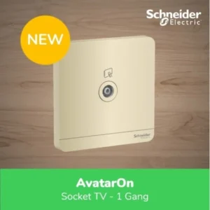 Schneider Electric AvatarOn Gold TV Socket 1 Gang – E8331TV_WG