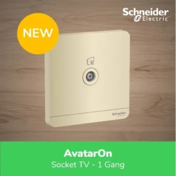 Schneider Electric AvatarOn Gold TV Socket 1 Gang - E8331TV_WG